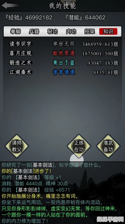 手游资讯，放置江湖家园系统深度解析与实用指南