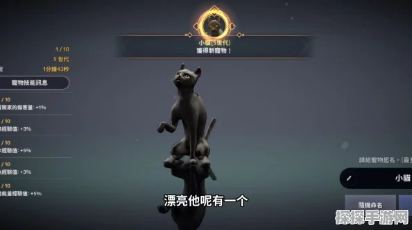 黑色沙漠手游黑色瘦猫获取方法大全，轻松捕捉技巧分享
