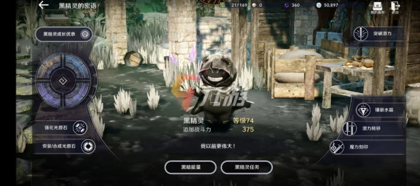 黑色沙漠手游黑色瘦猫获取方法大全，轻松捕捉技巧分享