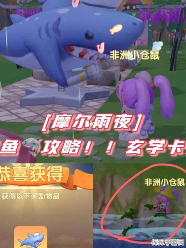 摩尔庄园，鲨鱼垂钓全攻略，时间地点一网打尽