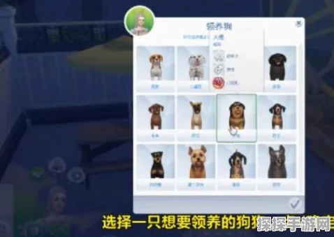 模拟人生4手游宠物养成全攻略，打造你的梦幻宠物家园