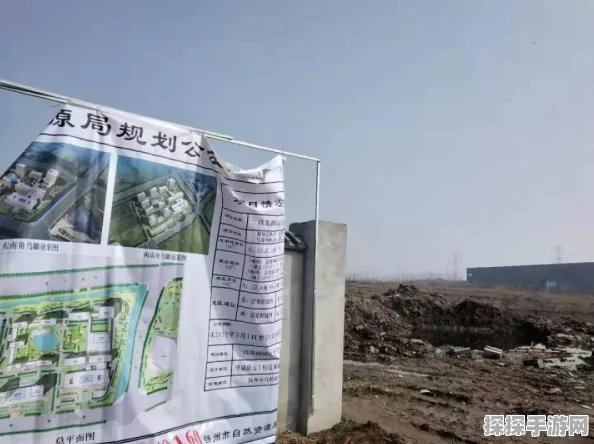 手游资讯指令，哈利波特魔法觉醒游戏中分院帽功能深度解析