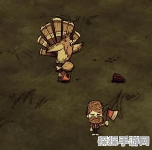 饥荒联机版火鸡农场建造指南，打造高效产出乐园