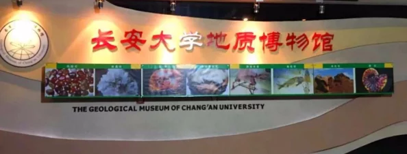 我的世界矿物分布全景图大全，深入探索游戏世界的宝藏