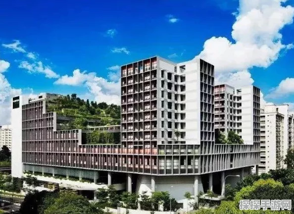 精灵盛典声望兑换高性价比道具推荐