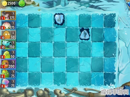 植物大战僵尸1全面冻结关卡攻略，战略指南与技巧深度分享