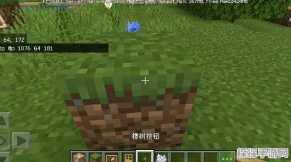 我的世界草方块新特性揭秘，版本更新带来无限可能