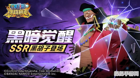 航海王燃烧意志，黑胡子一回合奥义流攻略深度解析