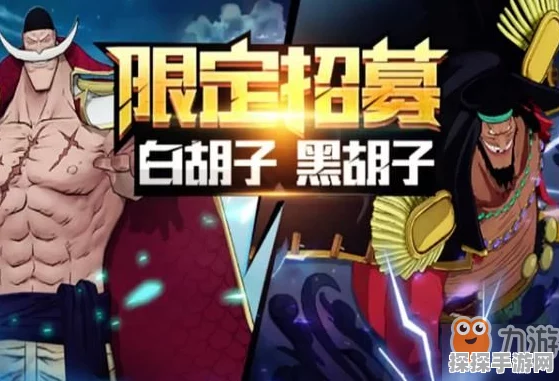 航海王燃烧意志，黑胡子一回合奥义流攻略深度解析