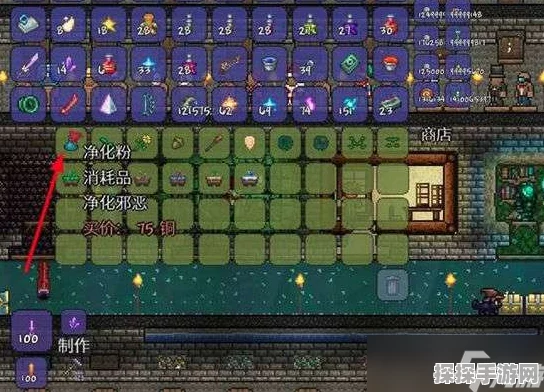 泰拉瑞亚NPC住房分配攻略，构建和谐小镇，全面优化游戏体验