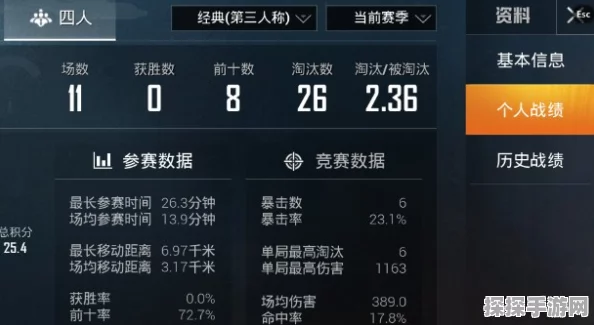 KD比值解析，如何在和平精英中精准查看与解读手游资讯指令