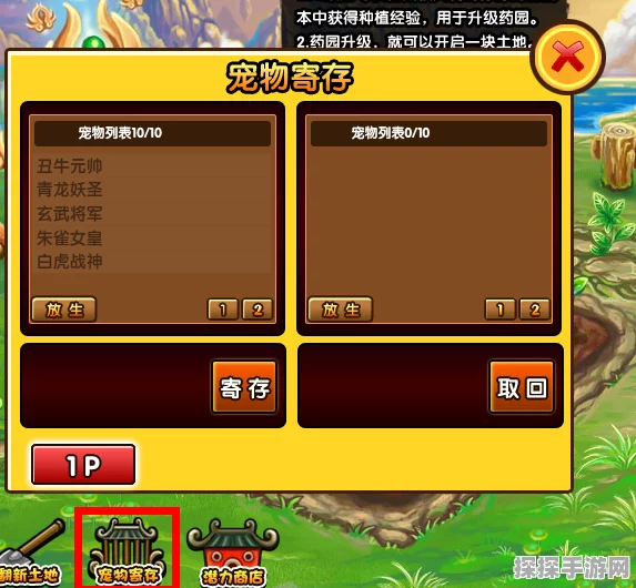 造梦西游3宠物背包扩容至10只宠物容量全攻略