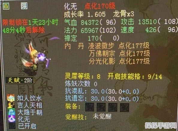 大话西游热血版深度探索，狐小妖技能图鉴与资源管理艺术