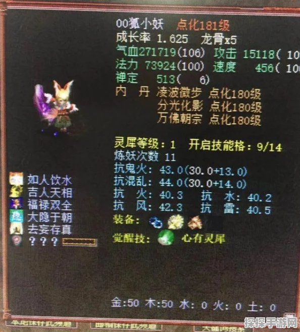 大话西游热血版深度探索，狐小妖技能图鉴与资源管理艺术