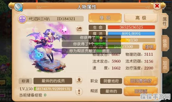 梦幻西游手游，宠物星级评分全面解析