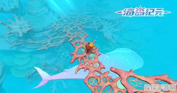 揭秘海岛纪元，全方位探险攻略，海陆空之旅等你开启