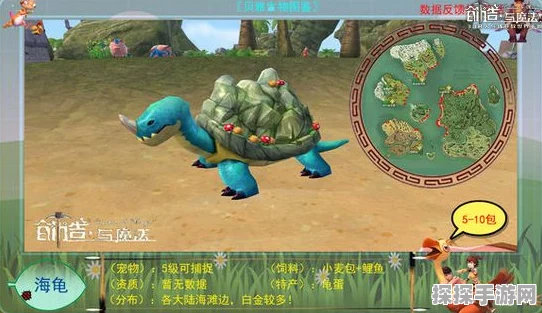 手游资讯，探索创造与魔法5级龟的饲养奥秘