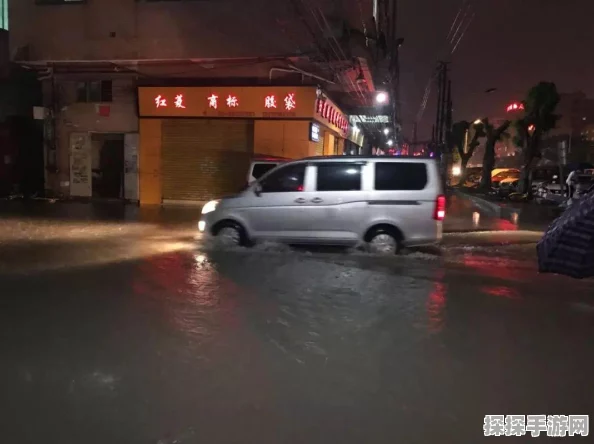 保卫萝卜3集市第四十一关深度攻略，策略与技巧并重
