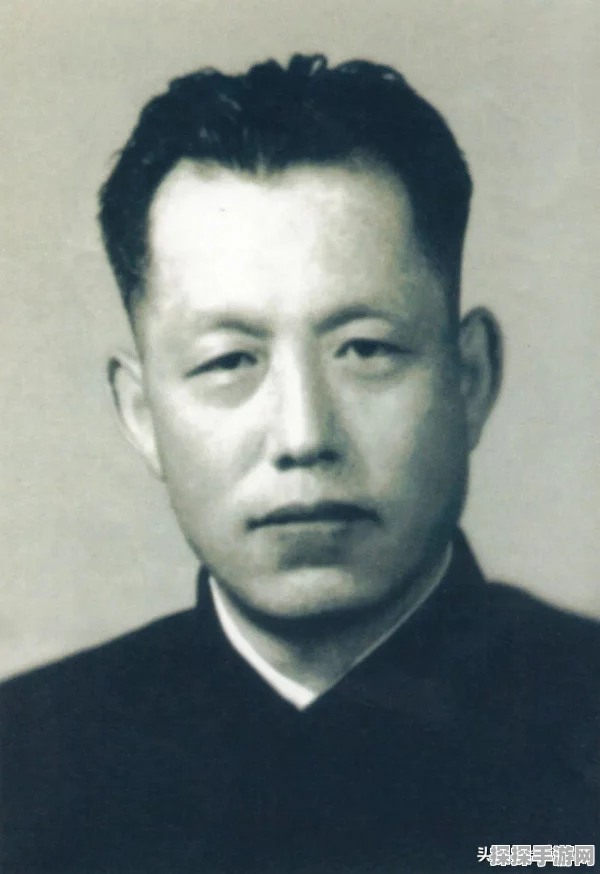 保卫萝卜3博物馆第19关深度攻略，策略布局，无伤通关秘籍