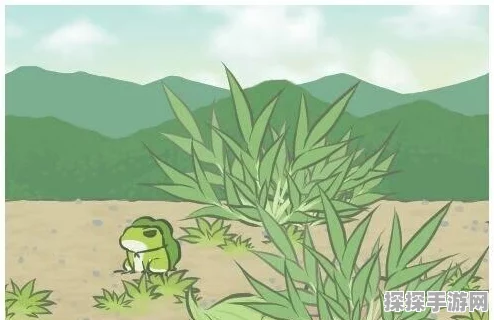 手游资讯，全面攻略旅行青蛙明信片图鉴收集与获取途径
