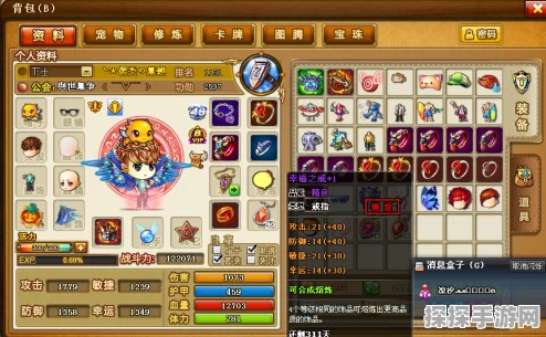 弹弹堂属性大揭秘，战力飙升的秘密武器，新版本更新全解析