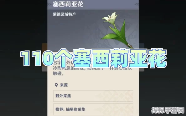 原神玩家必看，塞西莉亚花高效采集指南与最新手游资讯