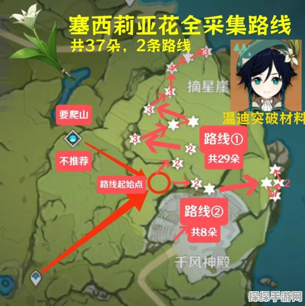 原神玩家必看，塞西莉亚花高效采集指南与最新手游资讯