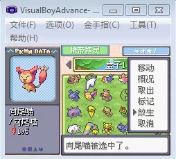 口袋妖怪蓝宝石，揭秘隆隆岩的通信进化及解决请稍候问题