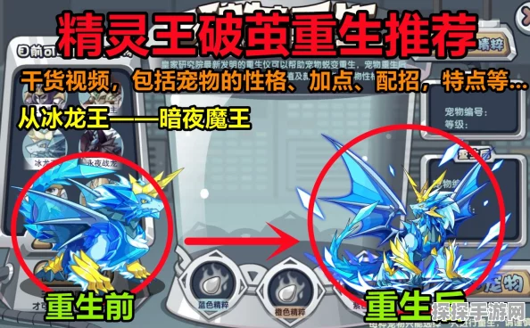 手游资讯，洛克王国翼王重生精粹需求全解析