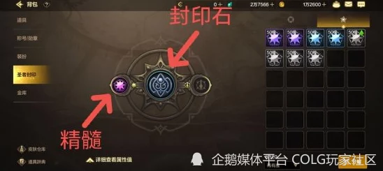 手游DNF黑色大地全新副本揭秘，挑战与机遇并存