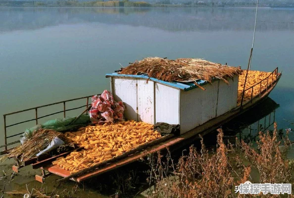 石器时代手游快速升级秘籍，解锁你的高效成长之路