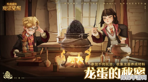 哈利波特魔法觉醒学年任务危险龙蛋速通全攻略