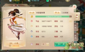 大话西游手游女人角色加点方向深度解析