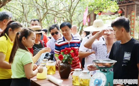 王者荣耀峡谷游园会活动全攻略，精彩纷呈，不容错过！