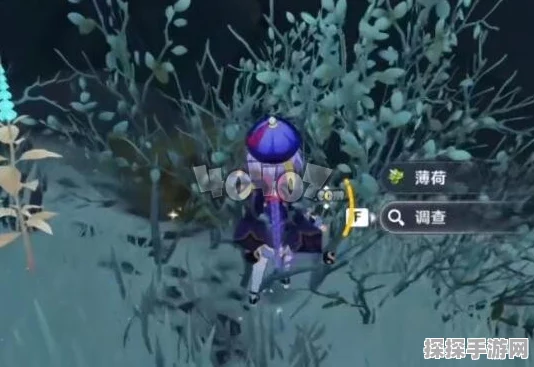 原神手游资讯，雪山深处绯红玉髓全攻略，珍贵资源一网打尽