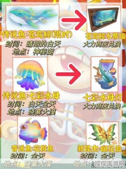 摩尔庄园手游，鱿鱼获取攻略全解析