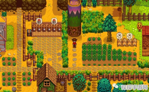 星露谷物语，揭秘大型植物获取途径