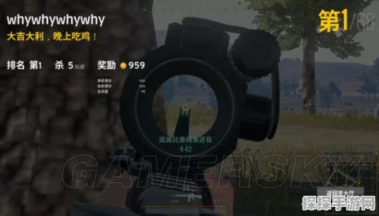 手游资讯，绝地求生手游四倍镜调整功能详解