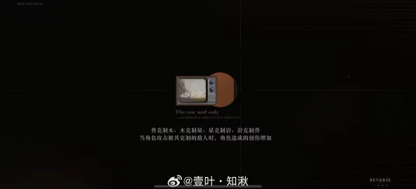 重返未来，1999手游黑屏闪退问题全面解析与解决方案