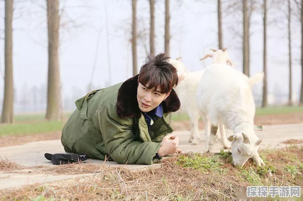 无限暖暖拍照功能退出指南，轻松掌握，尽享游戏乐趣