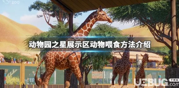 动物园之星食物升级全攻略