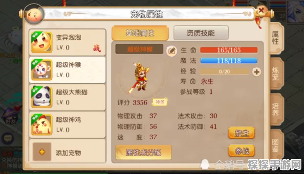 梦幻西游手游，揭秘神兜兜的神奇作用与获取途径