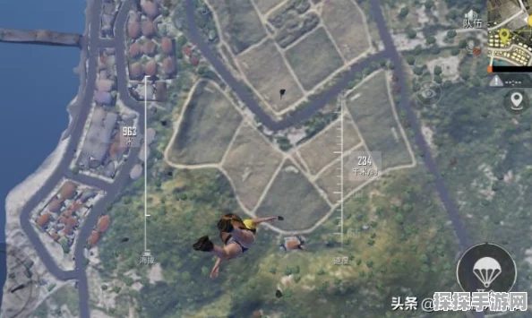 和平精英雨林地图车辆全解析，驰骋雨林的必备之选