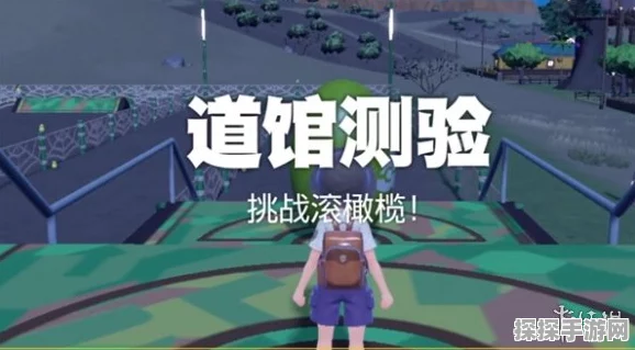 宝可梦朱紫团队徽章格斗系全面攻略