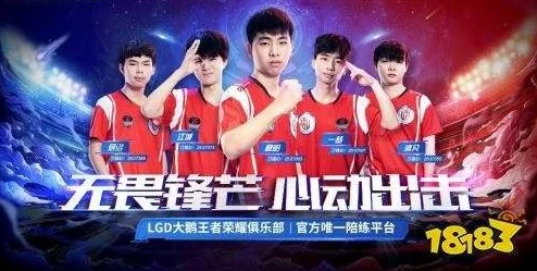 王者荣耀LGD战队成员深度揭秘，实力与背景全面剖析