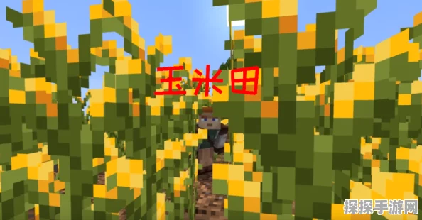 我的世界丰收物语手游深度资讯，探索无限创意的田园之旅