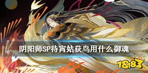 阴阳师SP姑获鸟御魂搭配深度解析，打造妖界征战的最强阵容