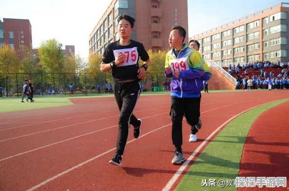 绿茵逐梦，星辉璀璨，揭秘足球世界全明星手游新版本盛况