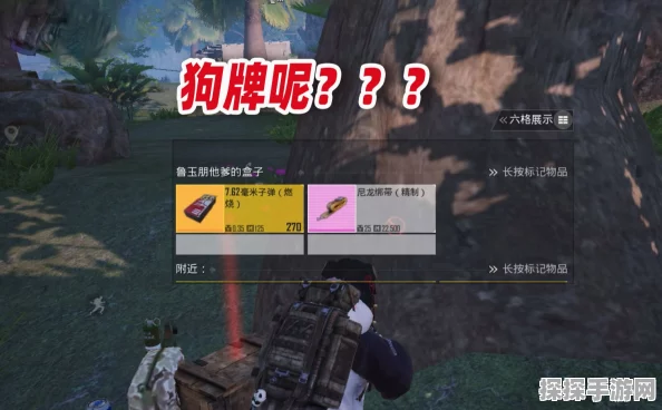 地铁逃生游戏攻略，揭秘狗牌隐藏的地图秘密