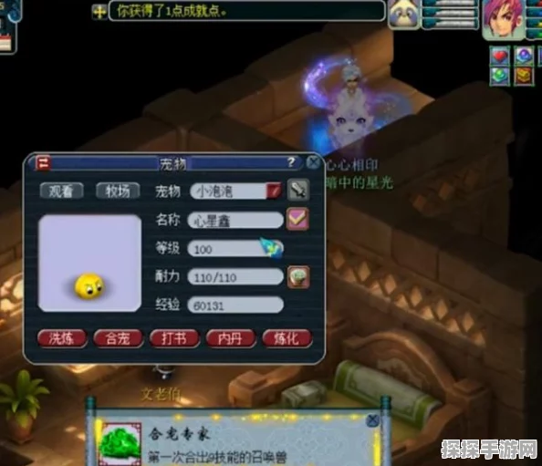 梦幻西游，提升吸附与炼妖成功率的全面攻略